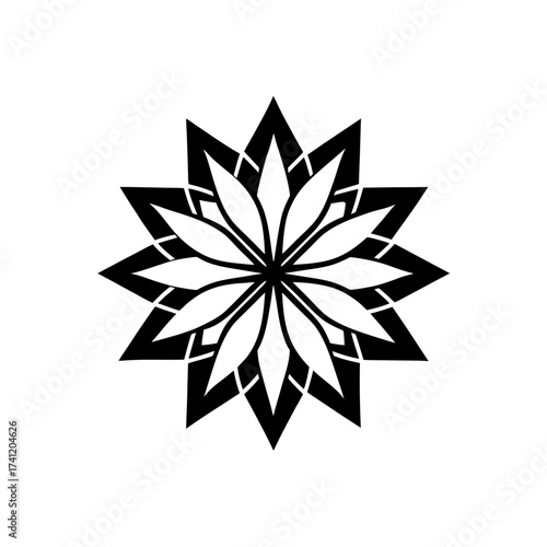 Abstract starburst floral design element art on transparent background