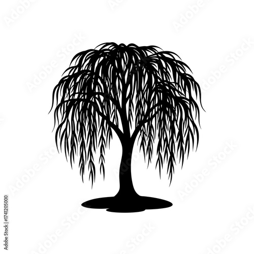 Silhouette of a weeping willow tree art on transparent background