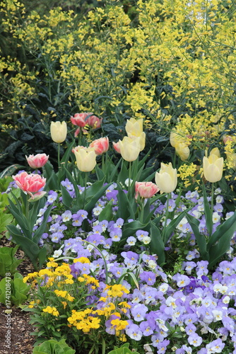 flowers in the garden