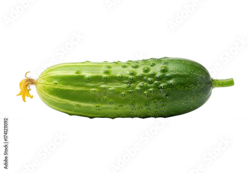 Green cucumber with yellow flower isolated on a transparent background
