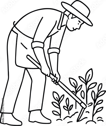 Garden Work in Progress