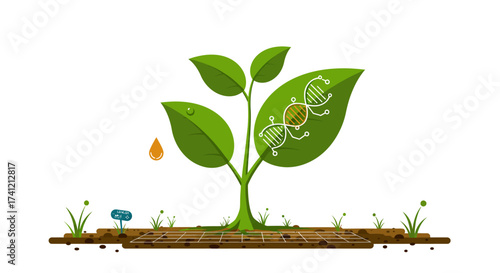 Genetically engineered plant with dna helix in leaves on digital soil