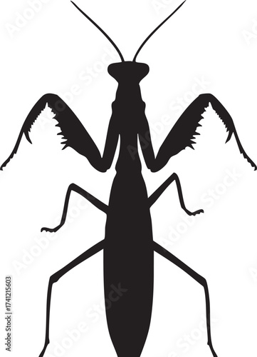 Black silhouette of a praying mantis insect on a white background silhouette