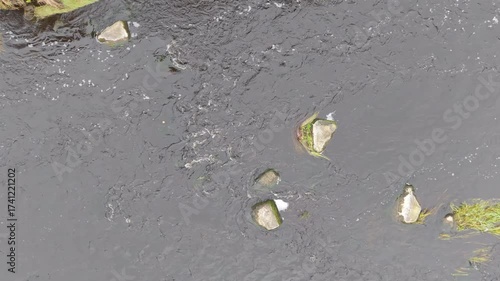 Aerial footage of a muddy river with turbid brown water flowing over a rocky, shallow riverbed with scattered stones and green vegetation. Top-down view of a natural freshwater stream