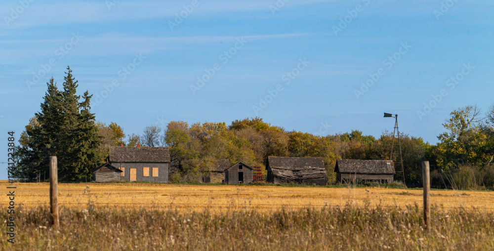 Fototapeta premium Abandoned buildings in the trees