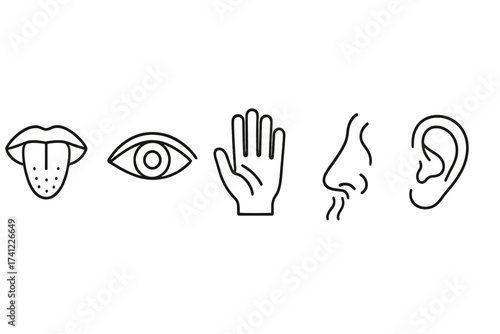 Five senses icon set with taste, sight, touch, smell, and hearing. Line art symbols for sensory perception and human experience. Minimalist outline vector illustration.