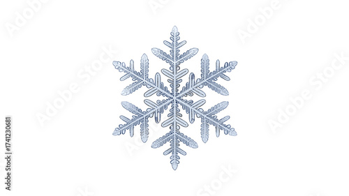 A detailed snowflake in its beautiful crystalline structure.