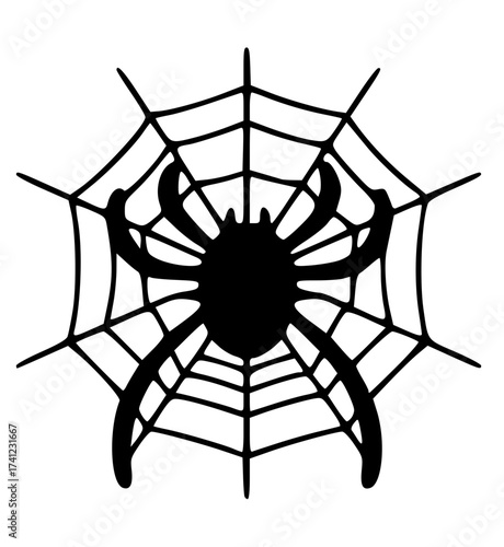spider and web
