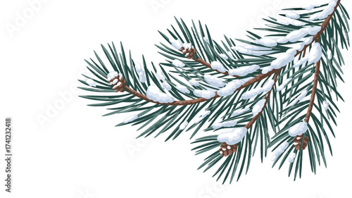 Snow-covered pine branch, symbol of winter's beauty.
