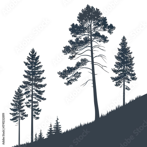 Vector art of a serene monochrome landscape showcases a cluster of evergreen trees gracefully adorning a gentle hillside, , evoking a sense of tranquility and natural beauty
