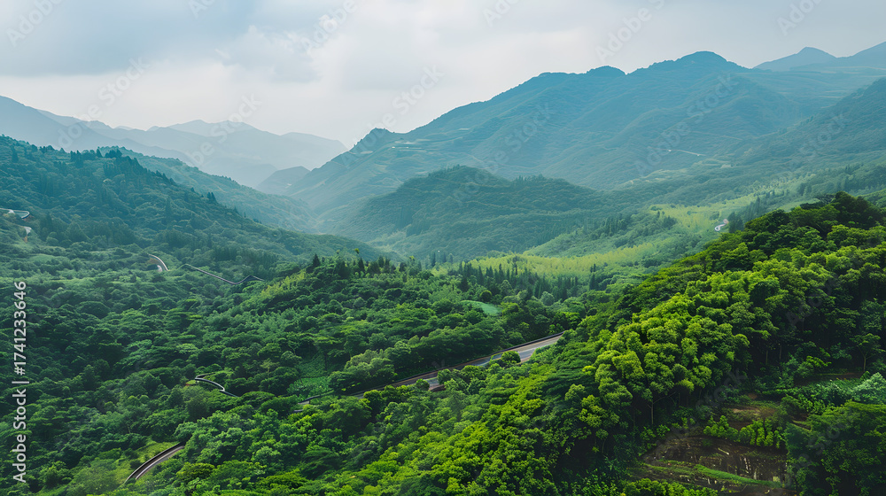 Naklejka premium Mountainous landscape with forest and road