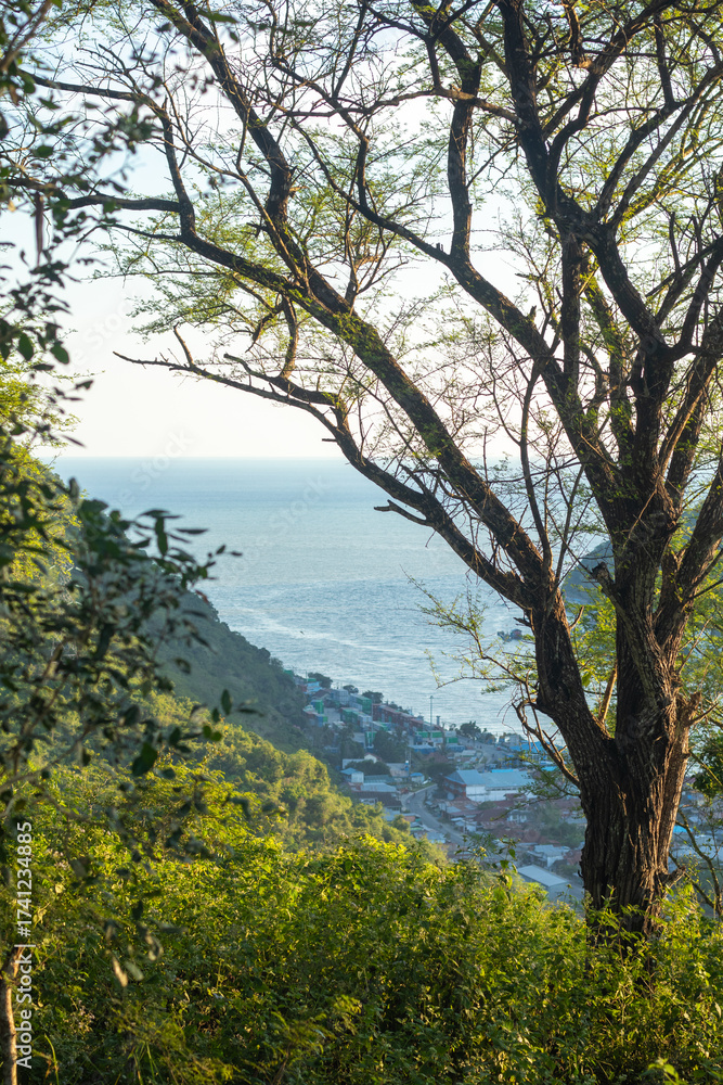 Fototapeta premium Scenic View of Coastline from Lush Hillside