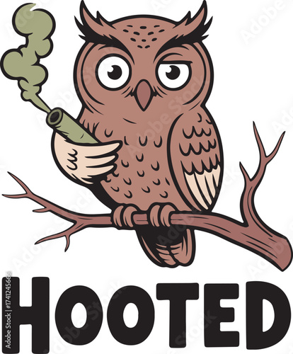 wise owl teacher