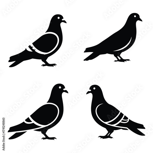 Set of four silhouette pigeons birds in profile facing various directions for design projects silhouette