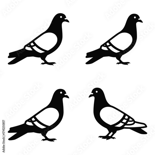 Four silhouette pigeons standing isolated on simple graphic design elements silhouette