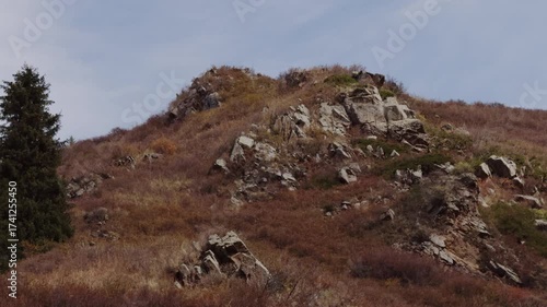 Scenic view of a rocky mountain slope with autumn plants