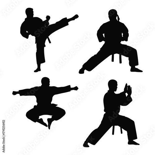 Martial arts silhouettes dynamic karate fighters performing high kicks and punches demonstrating combat skills silhouette