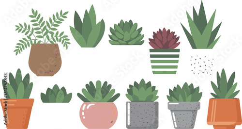 Flat minimalist illustration of potted houseplants collection, decorative succulents and greenery, modern indoor plant design, stylish botanical home decor vector