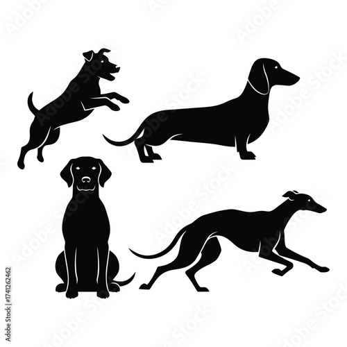 Silhouettes of four different dog breeds posed in dynamic action shots and static stances for design silhouette