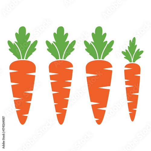 Four fresh orange carrots with green tops ready for harvest or cooking delicious vegetable ingredients silhouette