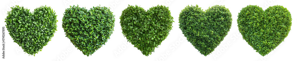 Obraz premium PNG Heart-shaped green foliage art, element set on transparent background
