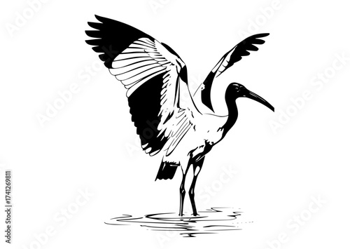 vector_file_427