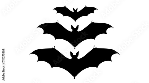 three silhouettes of bats on a plain transparent backgroundbat, black, fly, illustration, profile, wing 