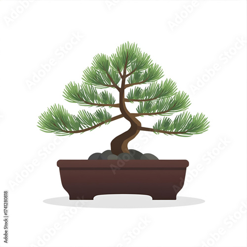 Elegant bonsai tree in a ceramic pot, a symbol of nature and tranquility