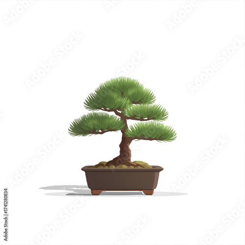 Artfully shaped miniature pine tree in a ceramic pot, a symbol of patience and nature's beauty.