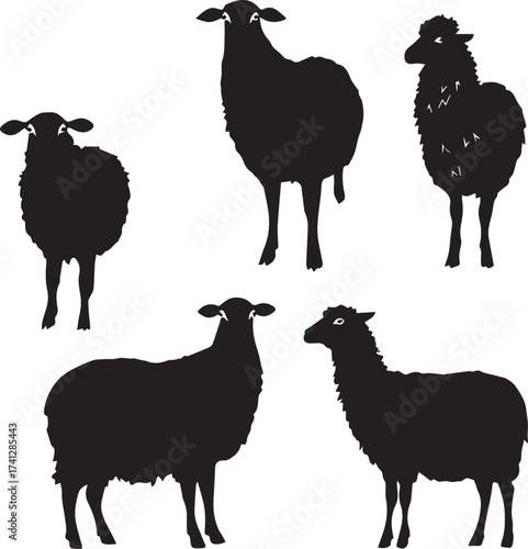 Sheep icon set with varied poses and wool textures in black silhouette agricultural style