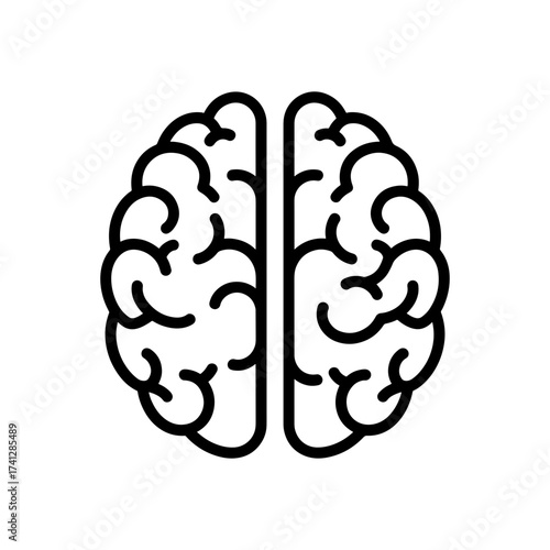 Illustration of a symmetrical human brain with detailed convolutions and a central division line design element