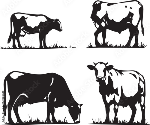 Cow icon set with grazing and standing poses on grass in black silhouette agricultural style
