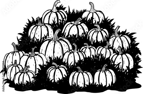 Vector illustration of pumpkin pattern among grass, black and white drawing
