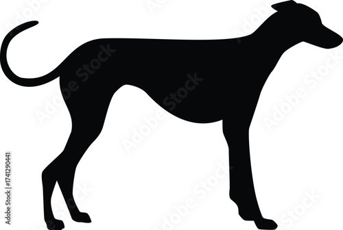 Black standing chihuahua dog silhouette icon flat vector illustration design.