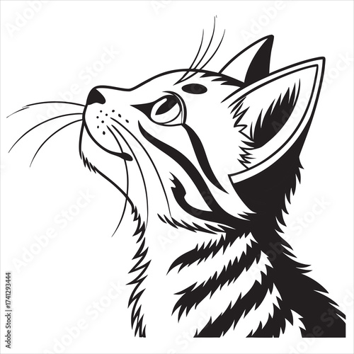 Cat Vector 