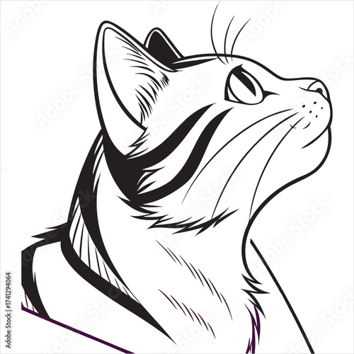 Cat Vector 