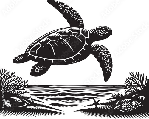 turtle in the sea