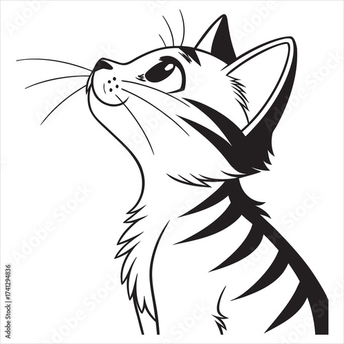 Cat Vector 