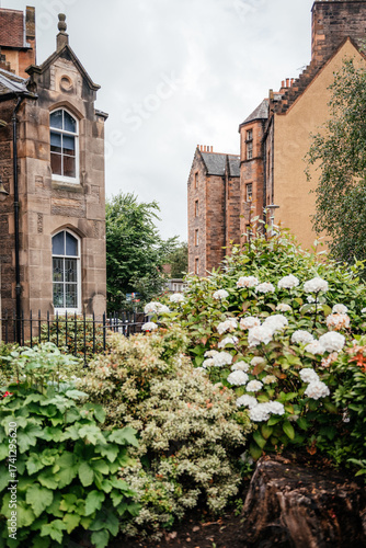 White Hydrangeas and Stone Architecture in Dean Village Edinburgh