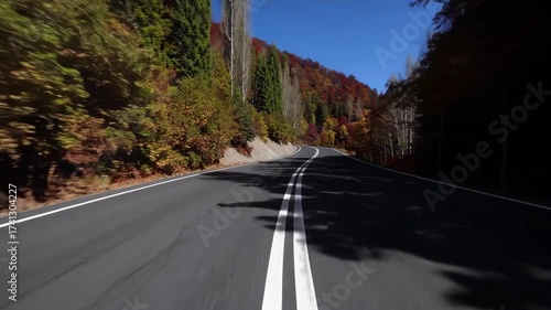 Curving mountain road bordered by colorful autumn sweetgum and European beech trees under clear blue sky