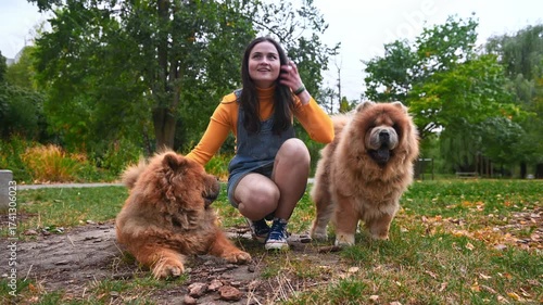 Young woman lying with two dogs in the park. Portrait of a woman with two beautiful chow-chow dogs.