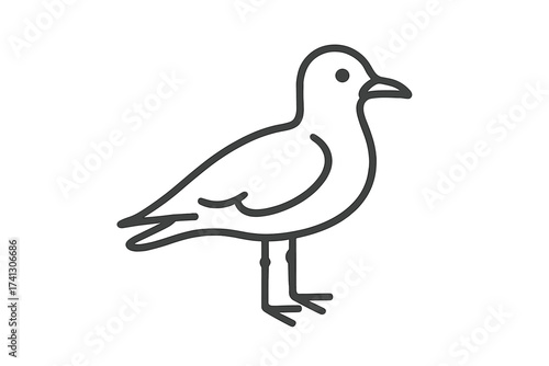 Seagull thin line icon. Sea bird simple vector logo concept. Minimalist coastal wildlife symbol. Marine animal outline illustration. Nautical graphic element for design projects.