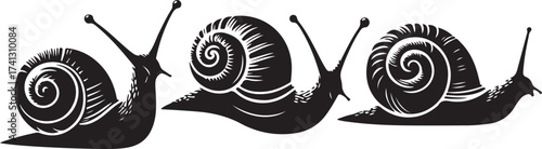 Snail silhouette vector illustration