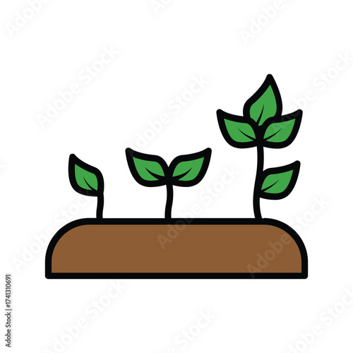 Three plants sprouting from brown soil Each plant has green leaves and black stems