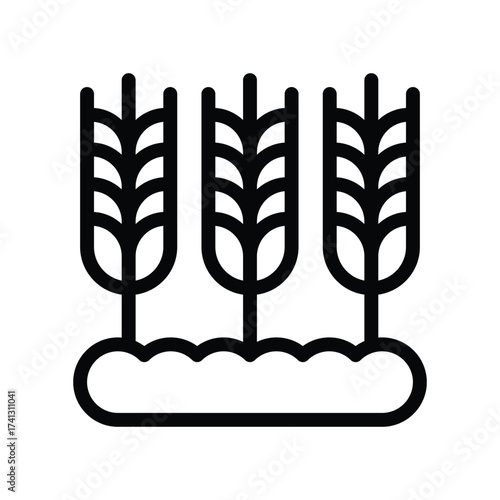 Three stalks of wheat stand on a bed of soil rendered in a simple bold outline style