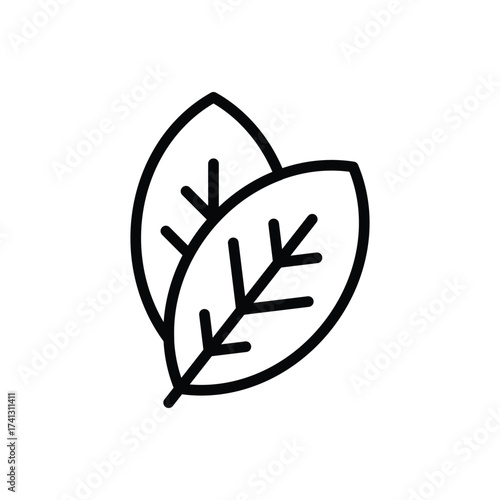 Two simple leaves outline illustration
