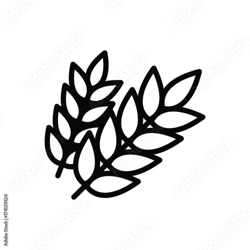 Two sprigs each bearing several leaves with the outlines clearly defined in black against a white background