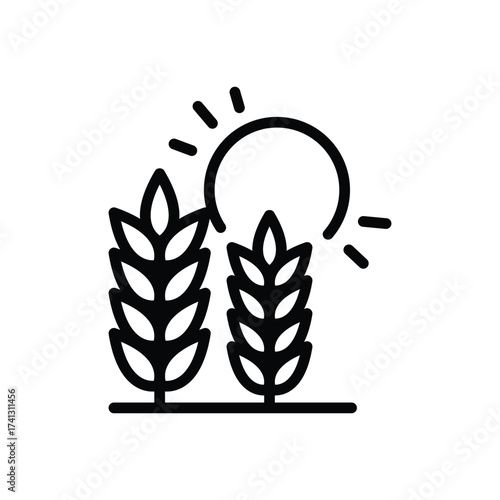 Two stalks of wheat rise from the ground under a radiant sun