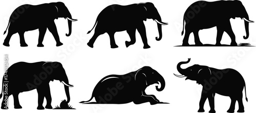 Elephant silhouette vector set showing walking, grazing, lying, trumpeting poses for wildlife, safari, nature, animal anatomy and behavior themes