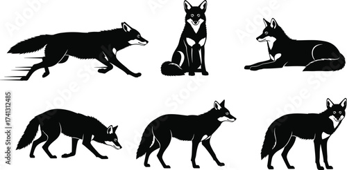 Fox running sitting lying vector illustrations showing cartoon wild canid silhouette poses for nature animal character design and wildlife content